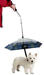 イヌ用の傘。[ Pet Umbrella ]