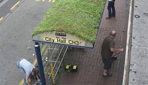 バス停のクリエイティブアイデア集[ Creative bus stop design ]