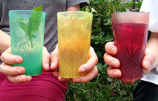 食べられるコップ(Jelloware) 食べられるコップ(Jelloware)