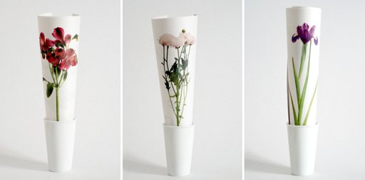 枯れない花(Fresh Flowers)