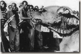 apartheid02