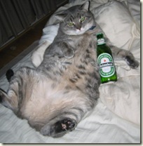 BeerCat01 BeerCat01