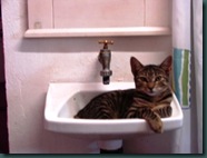 Esperanza and Sink 002
