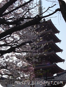 DSC09022