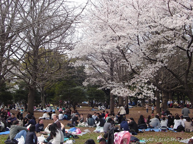 [DSC08914[11].jpg]