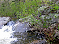 IMG_0376.JPG