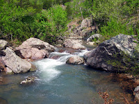 IMG_0529.JPG