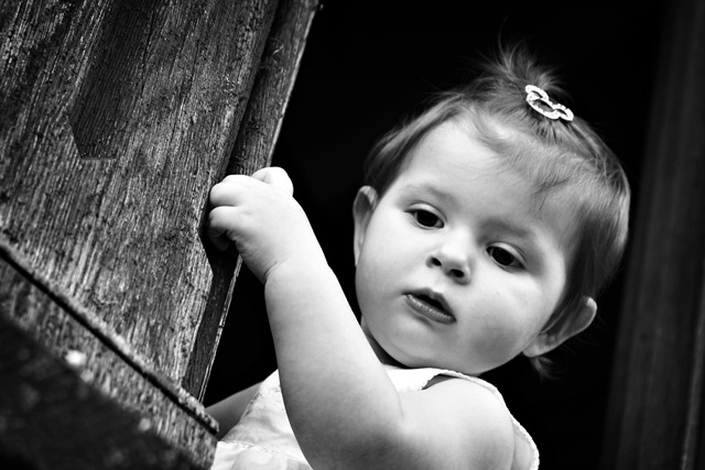 [IMG_9461[4].jpg]