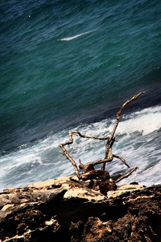 [IMG_90394.jpg]