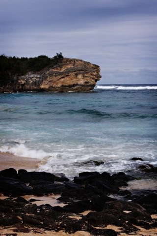 [IMG_95904.jpg]