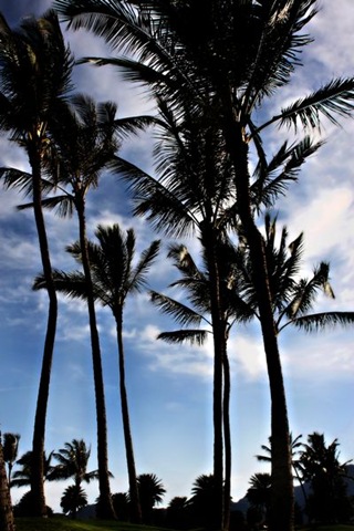 [IMG_00769.jpg]