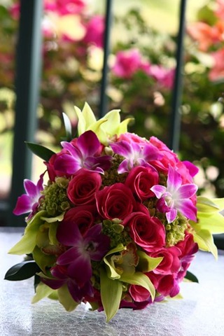 [IMG_07443.jpg]