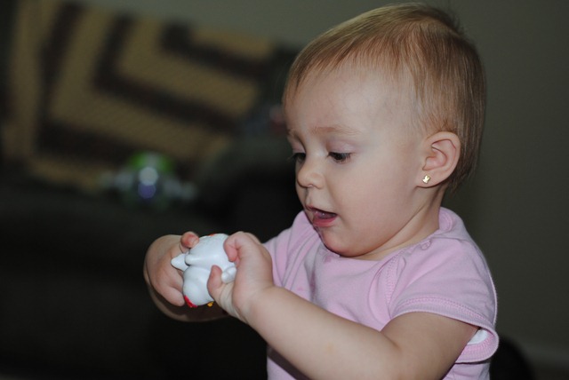[DSC_0079[3].jpg]