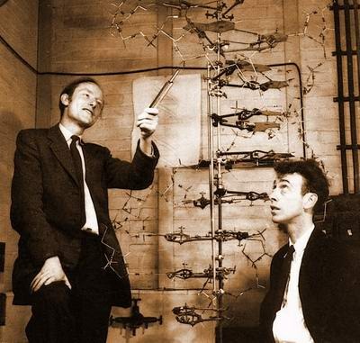 [Watson dan Crick[3].jpg]