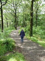Woodland path (Grasmere, United Kingdom) Photo