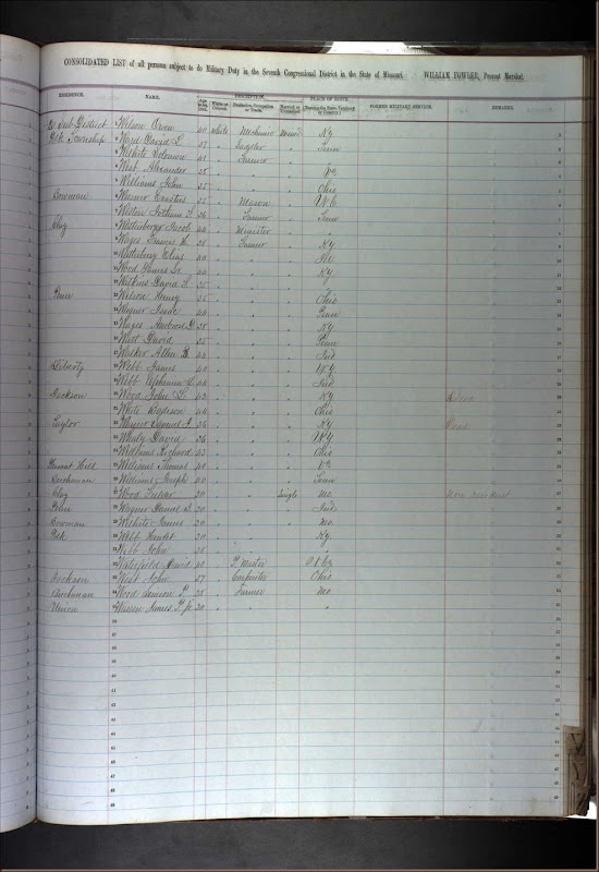 U.S., Civil War Draft Registrations Records, 1863-1865 Record for Francis H Wages