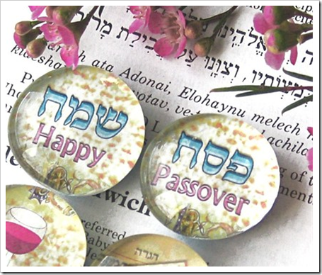 Happy Passover magnets by TamarHammer