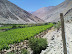 fundo-huanta-vina-falernia-5.jpg