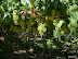 DSCN0760.JPG
