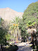 plaza-pisco-elqui.JPG