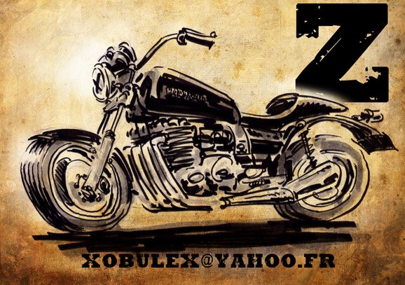 [z1100a2.jpg]
