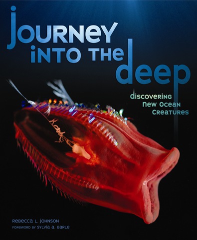 [Journey_C[3].jpg]