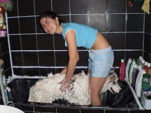 Качена снимка