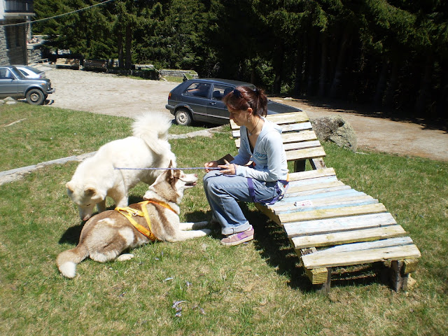 Качена снимка