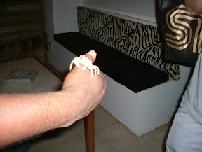 DSCF3671.JPG