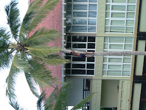 DSCF3681.JPG