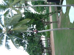 DSCF3685.JPG