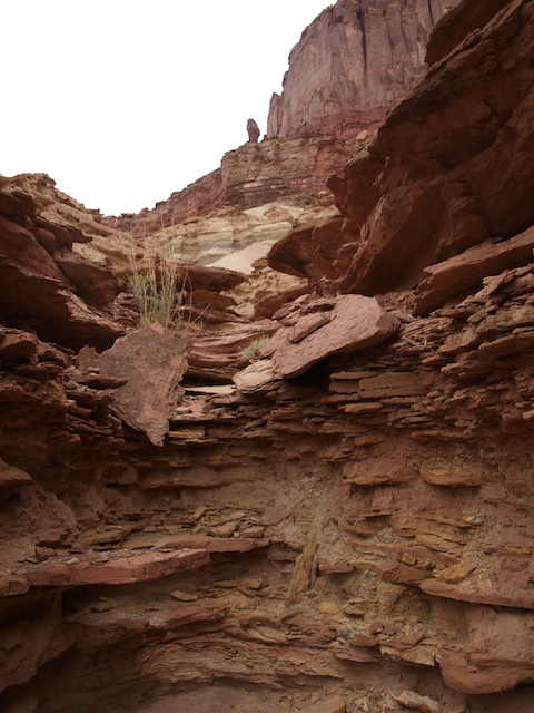 ExPoordition%20-%20White%20Rim%20Trail%20%281%29.jpg