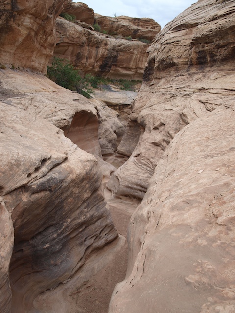 ExPoordition%20-%20White%20Rim%20Trail%20%289%29.jpg