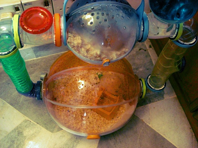 [CIMG2886copy5.jpg]