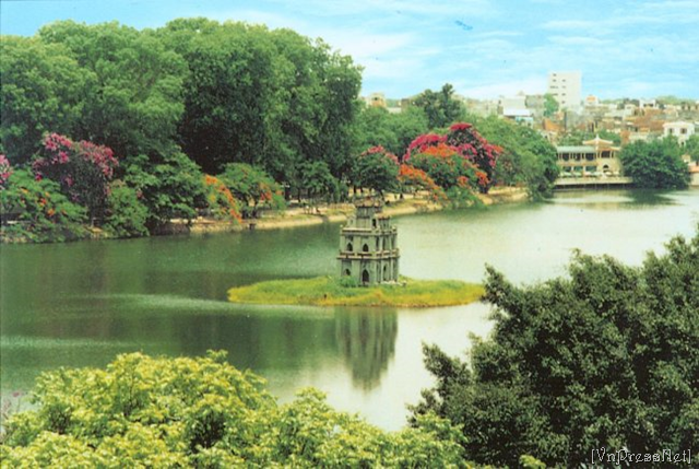 [image[12].png]