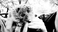 С днем рождения, Максим.