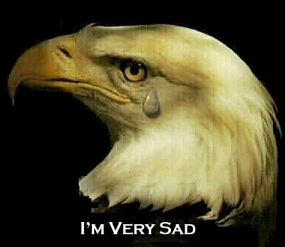 [crying_bald_eagle_cgb[3].jpg]