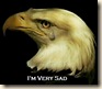 crying_bald_eagle_cgb