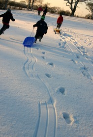 IMG_2137 IMG_2137