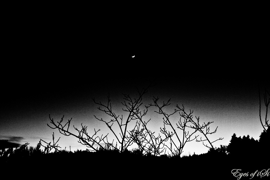 [Eyes-of-iSi-Himmel-Schwarz-Wei-ste10.jpg]