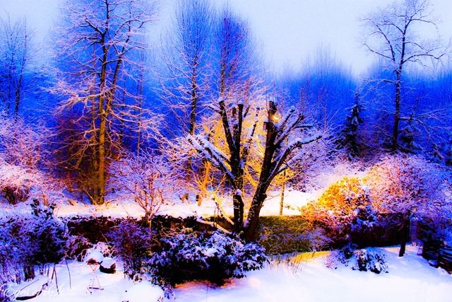 Eyes-of-iSi-Soft-Winter