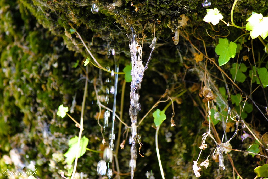 [Eyes-of-iSi-Tropfen-Wasser[3].jpg]