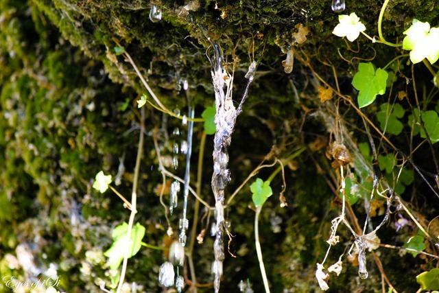 Eyes-of-iSi-Tropfen-Wasser
