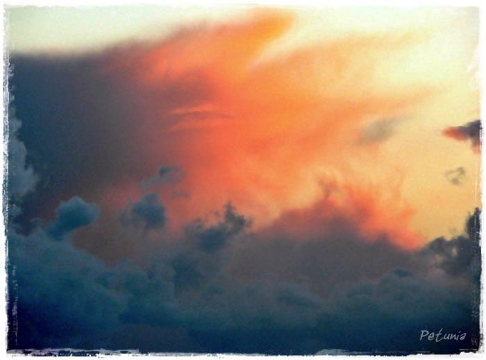 Sky 3