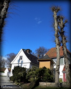 Gamle Bergen 3
