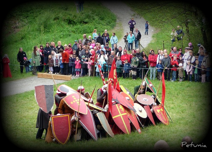 Viking 11