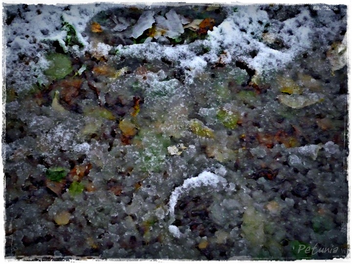 Snø 6