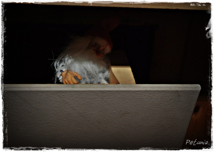 1.advent 007