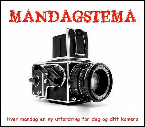 [Mandagstema ny logo[5].jpg]