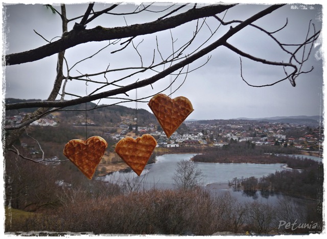 [Vaffeldag 1[10].jpg]
